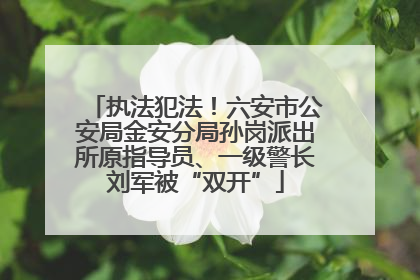 执法犯法！六安市公安局金安分局孙岗派出所原指导员、一级警长刘军被“双开”
