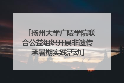扬州大学广陵学院联合公益组织开展非遗传承暑期实践活动