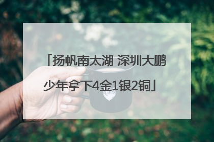扬帆南太湖 深圳大鹏少年拿下4金1银2铜