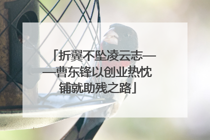 折翼不坠凌云志——曹东锋以创业热忱铺就助残之路