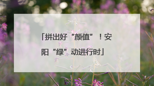 拼出好“颜值”！安阳“绿”动进行时