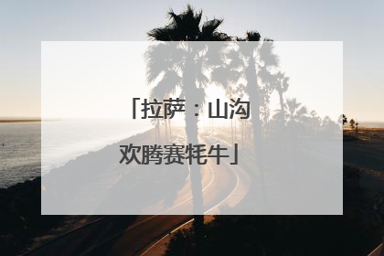 拉萨：山沟欢腾赛牦牛