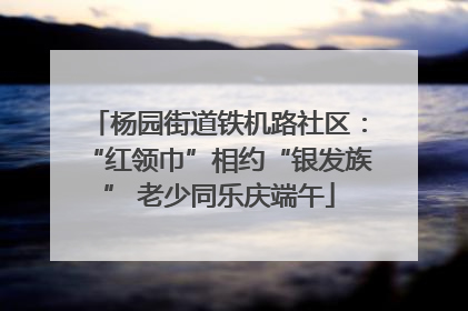 杨园街道铁机路社区：“红领巾”相约“银发族” 老少同乐庆端午