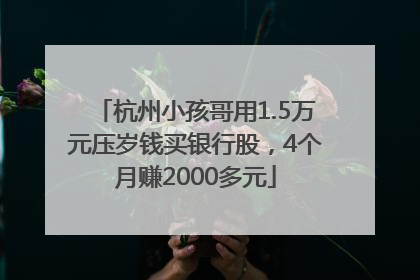杭州小孩哥用1.5万元压岁钱买银行股，4个月赚2000多元