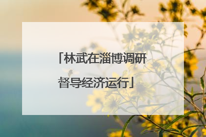 林武在淄博调研督导经济运行