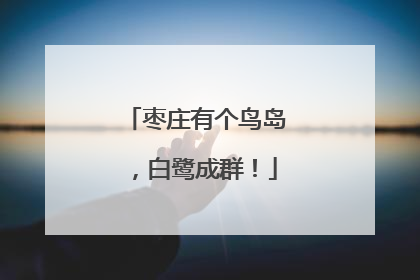 枣庄有个鸟岛，白鹭成群！
