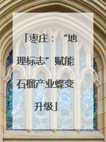 枣庄：“地理标志”赋能石榴产业蝶变升级