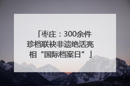 枣庄：300余件珍档联袂非遗绝活亮相“国际档案日”