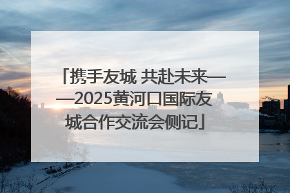 携手友城 共赴未来——2025黄河口国际友城合作交流会侧记