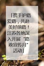 携手护路爱路，共赴美好前路！江苏各地深入开展“路政宣传月”活动