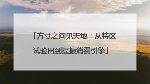 方寸之间见天地：从特区试验田到提振消费引擎