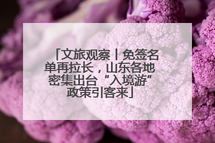 文旅观察丨免签名单再拉长，山东各地密集出台“入境游”政策引客来