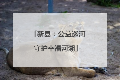 新县：公益巡河守护幸福河湖
