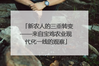新农人的三重转变——来自宝鸡农业现代化一线的观察