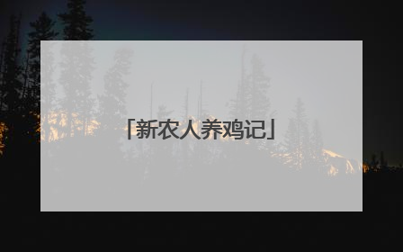 新农人养鸡记