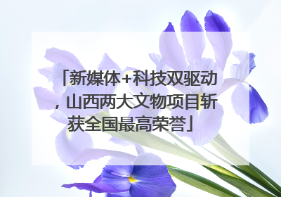 新媒体+科技双驱动，山西两大文物项目斩获全国最高荣誉
