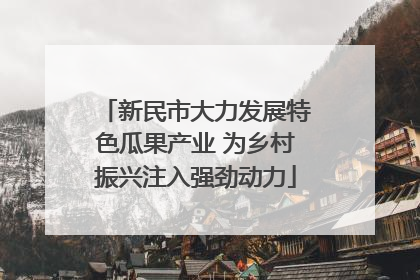 新民市大力发展特色瓜果产业 为乡村振兴注入强劲动力