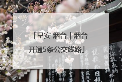 早安 烟台｜烟台开通5条公交线路