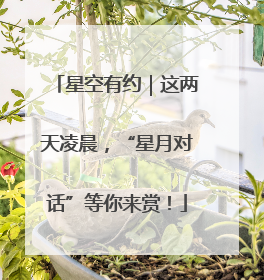 星空有约｜这两天凌晨，“星月对话”等你来赏！
