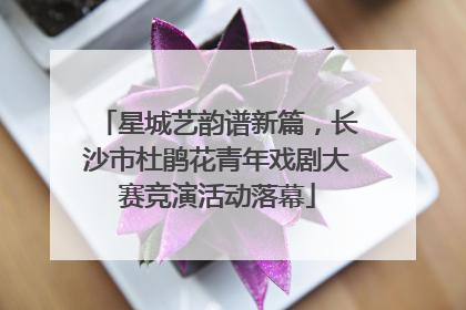 星城艺韵谱新篇，长沙市杜鹃花青年戏剧大赛竞演活动落幕