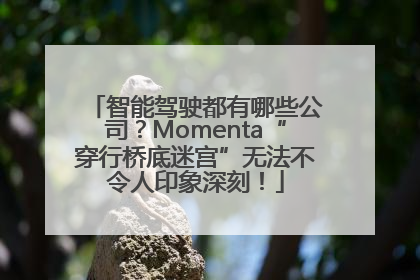 智能驾驶都有哪些公司？Momenta“穿行桥底迷宫”无法不令人印象深刻！