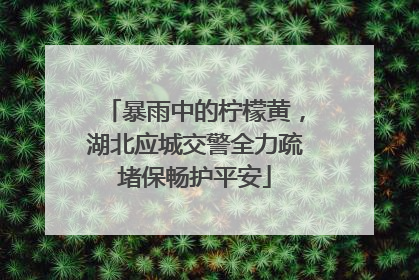 暴雨中的柠檬黄，湖北应城交警全力疏堵保畅护平安