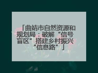 曲靖市自然资源和规划局：破解“信号盲区”搭建乡村振兴“信息路”