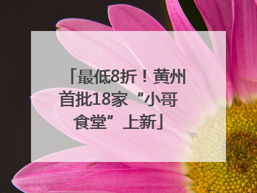 最低8折！黄州首批18家“小哥食堂”上新