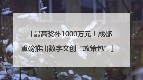 最高奖补1000万元！成都重磅推出数字文创“政策包”