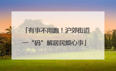 有事不用跑！沪郊街道一“码”解居民烦心事