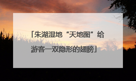 朱湖湿地“天地图”给游客一双隐形的翅膀