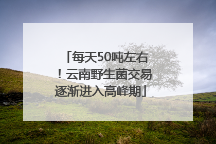 每天50吨左右！云南野生菌交易逐渐进入高峰期