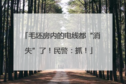 毛坯房内的电线都“消失”了！民警：抓！