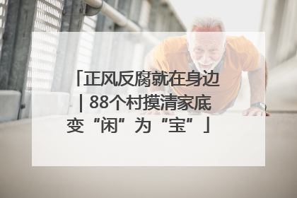 正风反腐就在身边｜88个村摸清家底变“闲”为“宝”