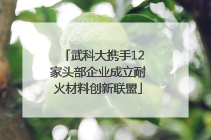 武科大携手12家头部企业成立耐火材料创新联盟