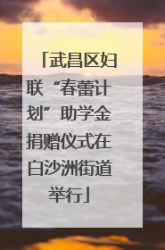 武昌区妇联“春蕾计划”助学金捐赠仪式在白沙洲街道举行