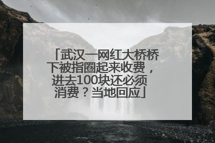 武汉一网红大桥桥下被指圈起来收费，进去100块还必须消费？当地回应