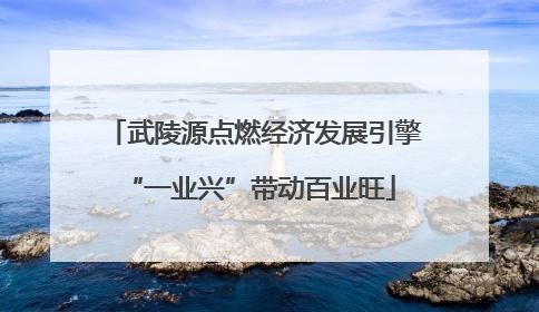 武陵源点燃经济发展引擎 “一业兴”带动百业旺