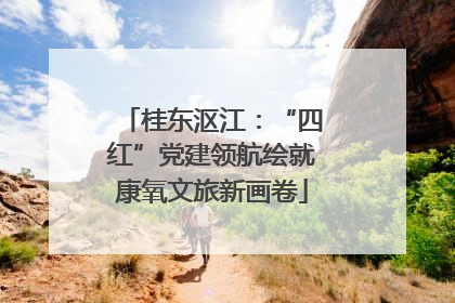 桂东沤江：“四红”党建领航绘就康氧文旅新画卷
