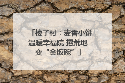 楼子村：麦香小饼温暖幸福院 撂荒地变“金饭碗”