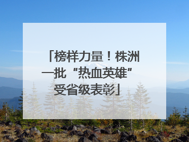 榜样力量！株洲一批“热血英雄”受省级表彰