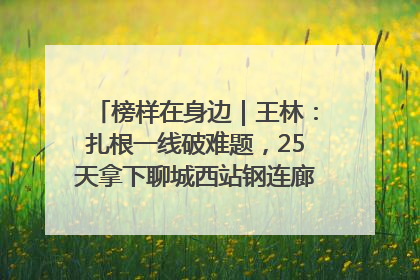 榜样在身边｜王林：扎根一线破难题，25天拿下聊城西站钢连廊“硬核”工程