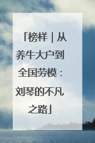 榜样｜从养牛大户到全国劳模：刘琴的不凡之路