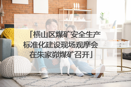 横山区煤矿安全生产标准化建设现场观摩会在朱家峁煤矿召开