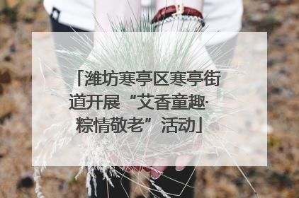 潍坊寒亭区寒亭街道开展“艾香童趣·粽情敬老”活动