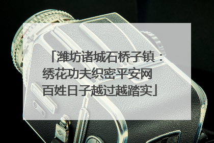 潍坊诸城石桥子镇：绣花功夫织密平安网 百姓日子越过越踏实