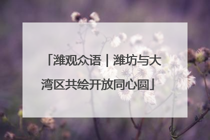 潍观众语｜潍坊与大湾区共绘开放同心圆