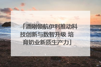 潘刚领航伊利推动科技创新与数智升级 培育奶业新质生产力