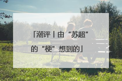 潮评丨由“苏超”的“梗”想到的