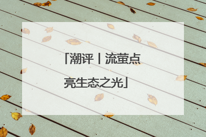 潮评丨流萤点亮生态之光